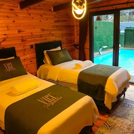 Hotel Vice *